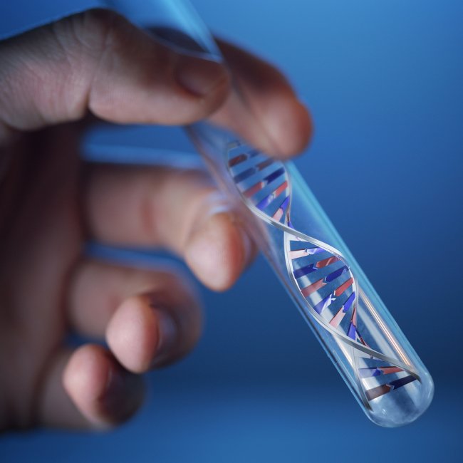 what is genetic test in pregnancy